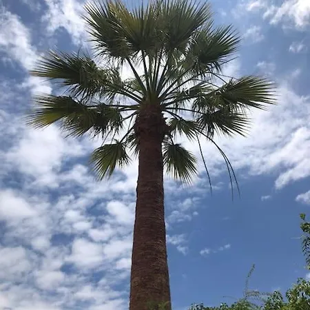 Casa de Férias Amarela Vilamoura