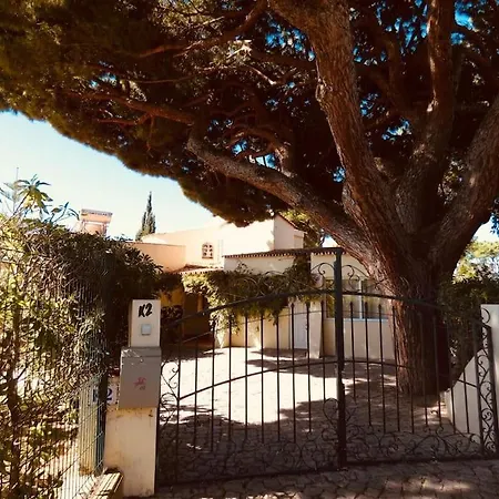 Amarela Vilamoura