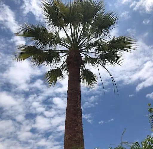 בית נופש Amarela וילהמורה