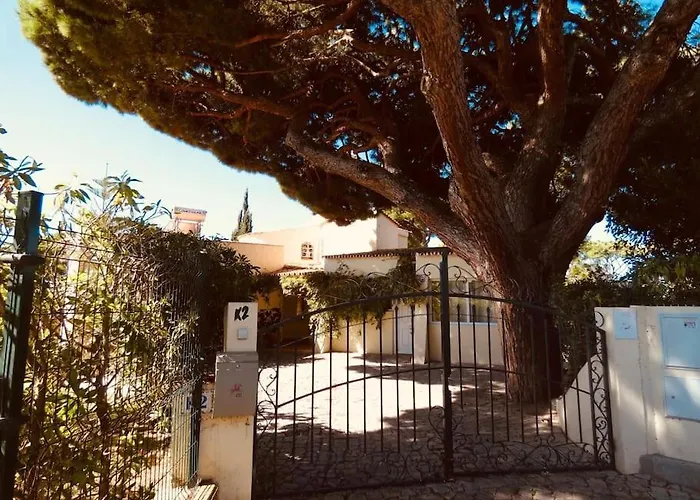 Amarela וילהמורה