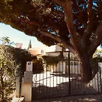 Amarela Vilamoura